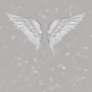 wings transparent