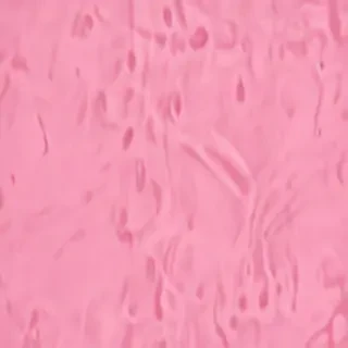 pink zoom backgrounds