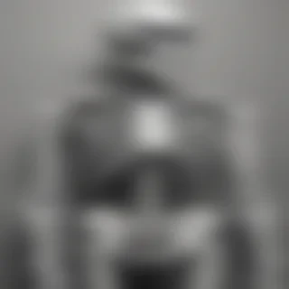 creative skeleton drawing art