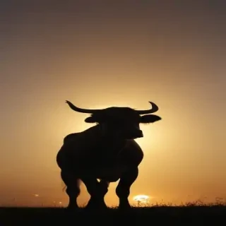 cow silhouette