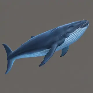 blue whale png