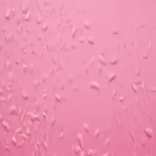 pink cover photo