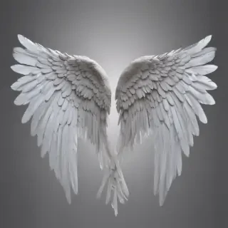 angel wings transparent background