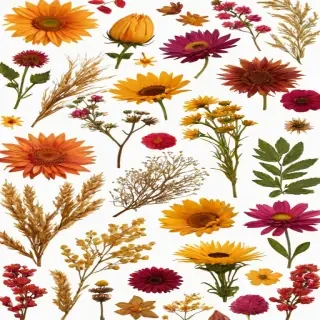 dried flowers png