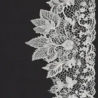 transparent lace png