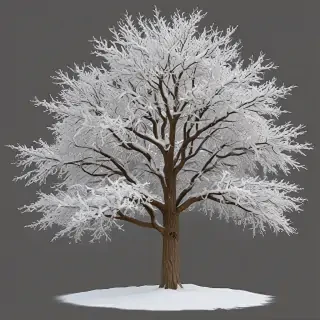 winter tree png