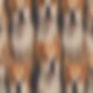 dog wallpaper aesthetic
