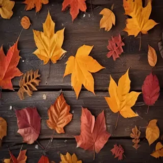 autumn leaves iphone wallpaper
