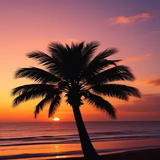 wallpaper iphone sunset