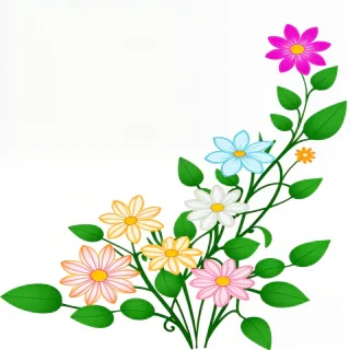 transparent background flower clipart