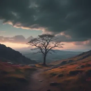 depressed wallpapers