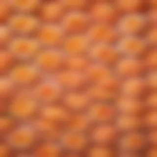 cute peach background