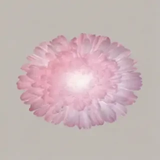 aesthetic png transparent