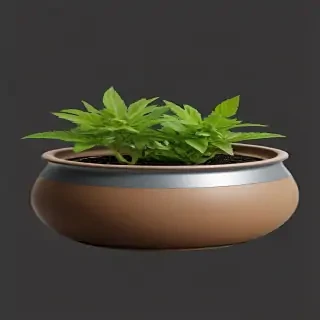 pot png