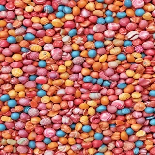 candy png