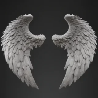 angel wings png transparent