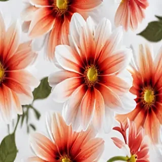 flower with white background