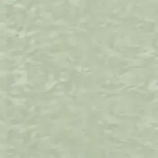 light sage green background