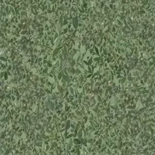 aesthetic sage green