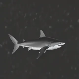 shark background