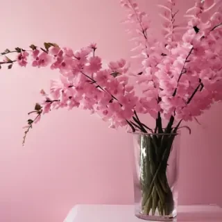 pink wallpapers