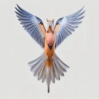 birds flying transparent background