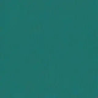 plain teal background