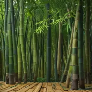bamboo background