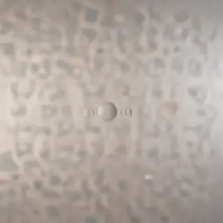 neutral background