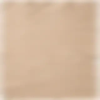 aesthetic ripped paper png