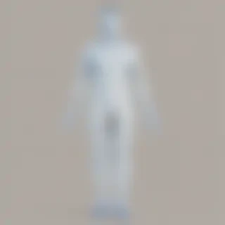 person transparent