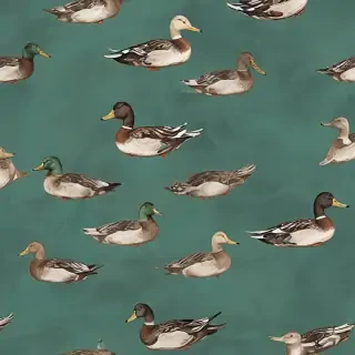 duck background