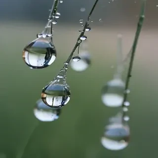 water droplets transparent