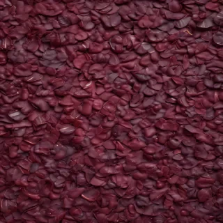 background burgundy