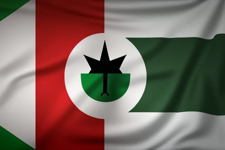 nigeria flag png