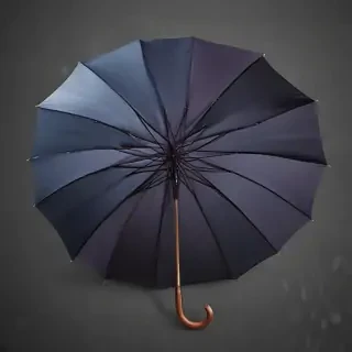 png umbrella