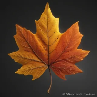 png fall leaves