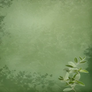 sage green background