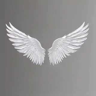 wings transparent