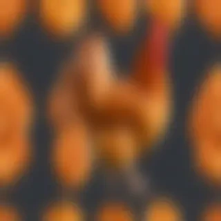 chicken transparent background