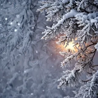 xmas winter wallpaper