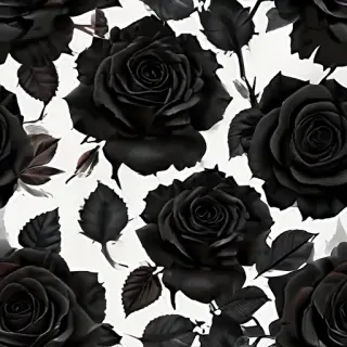 black roses background