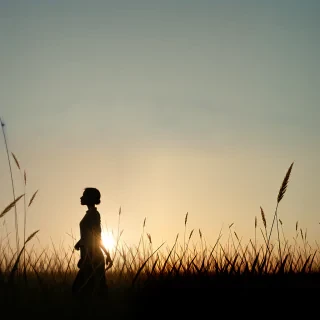 grass silhouette