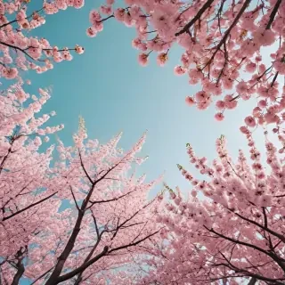 spring aesthetic desktop wallpaper