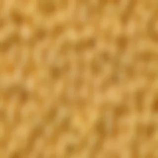 mac and cheese png