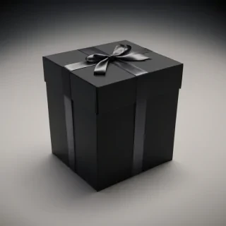 black box image