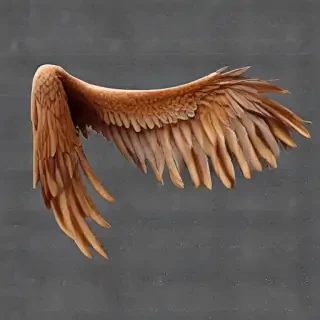 angle wings png