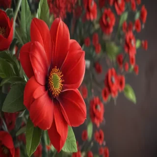 flower background red
