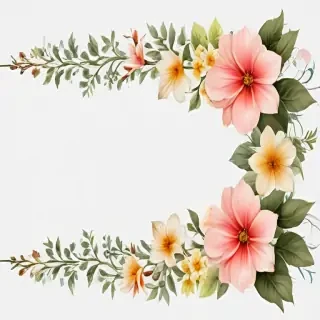 flower border transparent