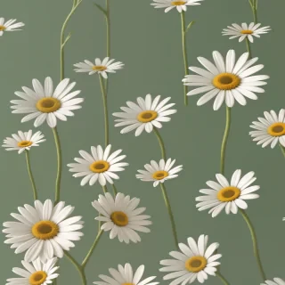 aesthetic daisy wallpaper